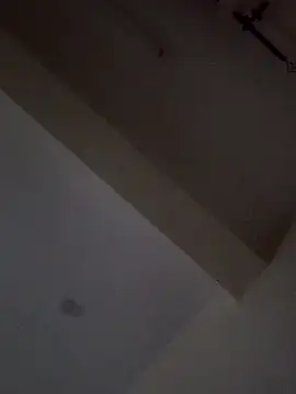 queen  ebony online show from January 15, 2025, 5:05 pm