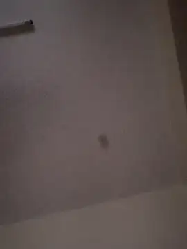 queen  ebony online show from February 16, 2025, 6:10 pm