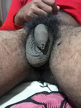 Snapshot of Nishu12356g chatting on January 13, 2025, 7:53 pm Nishu12356g online show from January 13, 2025, 7:53 pm