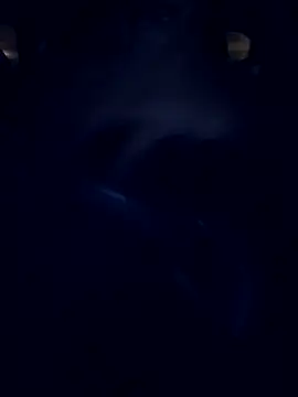 J0nyhson online show from November 19, 2025, 4:01 am