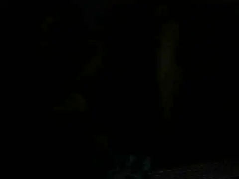 Snapshot of NovaChina chatting on February 20, 2025, 6:39 am NovaChina online show from February 20, 2025, 6:39 am