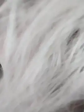 Linda Gregory online show from December 9, 2024, 7:39 am