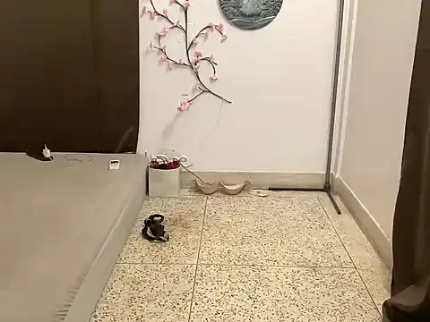 shanayaaa 1 online show from March 8, 2026, 2:04 am