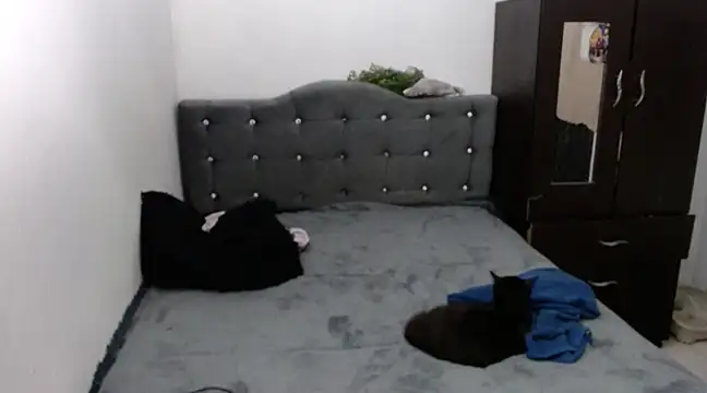 xx nath xx online show from December 6, 2024, 2:40 am