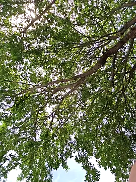 SkyelarSommer online show from April 13, 2026, 7:07 pm