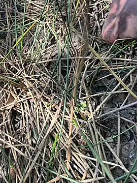 Yurt000 online show from September 23, 2025, 5:36 am