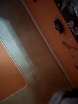 Snapshot of ducicsajsziii chatting on December 21, 2025, 12:07 pm ducicsajsziii online show from December 21, 2025, 12:07 pm