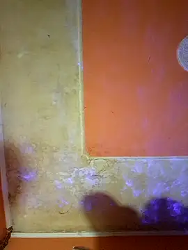 ducicsajsziii online show from March 15, 2025, 1:29 pm