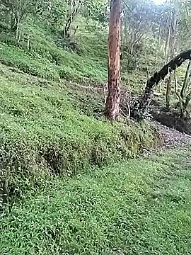 vergasgrandes online show from December 21, 2025, 9:26 pm