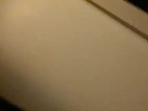 Snapshot of ROXYNL chatting on January 19, 2025, 7:04 pm ROXYNL online show from January 19, 2025, 7:04 pm