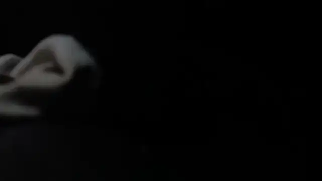 VARGAcz online show from February 4, 2026, 1:50 pm