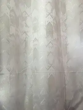 Alahia Rodriguez online show from November 29, 2025, 8:31 pm