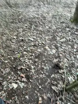 Snapshot of Aronn4 chatting on February 3, 2025, 8:02 am Aronn4 online show from February 3, 2025, 8:02 am