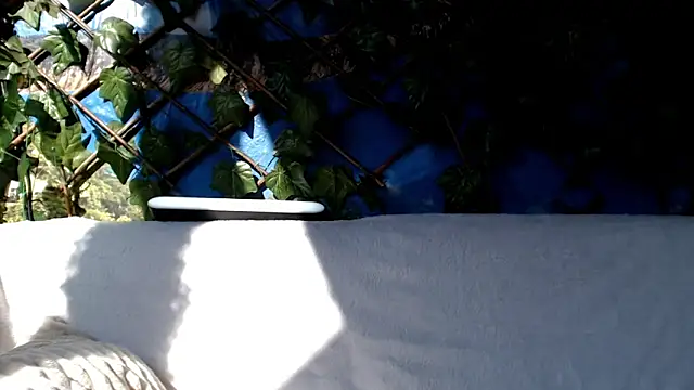 Snapshot of Bigboobs6930 chatting on March 3, 2025, 8:41 am Bigboobs6930 online show from March 3, 2025, 8:41 am