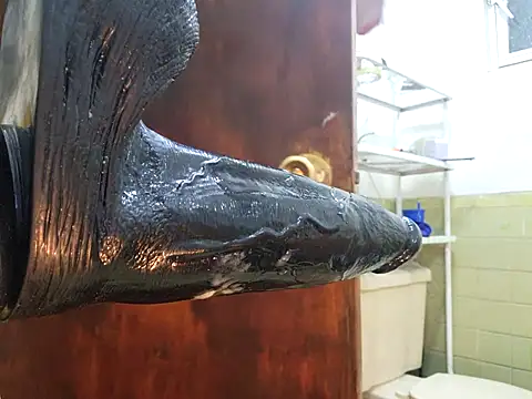 Ricorryxh online show from March 12, 2025, 3:24 am