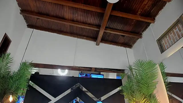 emily-fox online show from April 14, 2026, 11:04 am