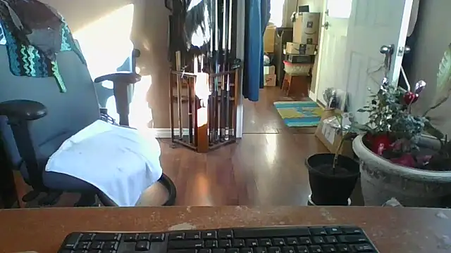 Snapshot of Daremeknot chatting on March 10, 2025, 1:54 pm Daremeknot online show from March 10, 2025, 1:54 pm