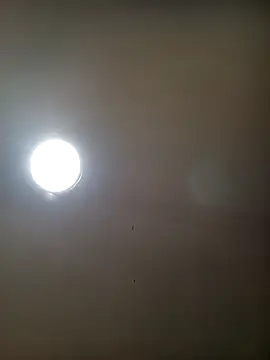 TrainedFinder5 online show from October 16, 2025, 2:09 am