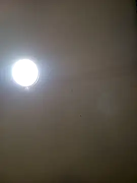 TrainedFinder5 online show from November 14, 2025, 11:19 pm