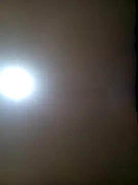 TrainedFinder5 online show from November 11, 2025, 11:53 pm