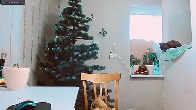 RosaJil online show from December 13, 2024, 1:55 pm