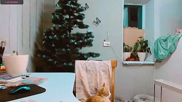 RosaJil online show from December 17, 2024, 3:06 pm