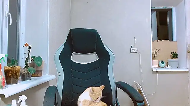 RosaJil online show from September 13, 2025, 5:35 pm