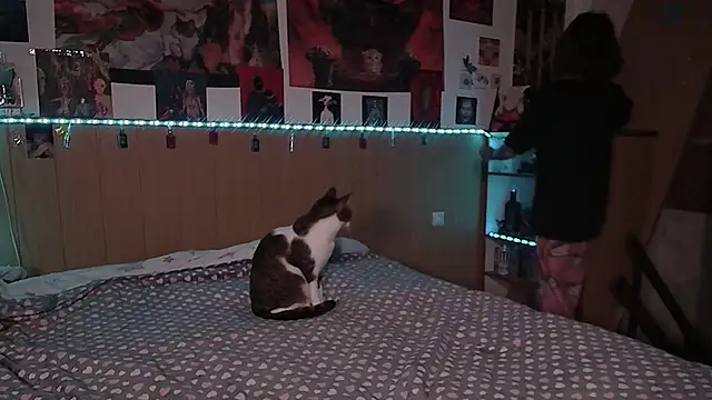 Hanako Jentoru online show from February 9, 2026, 6:17 pm