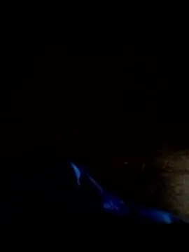 Snapshot of dotatoagropoli chatting on January 9, 2026, 8:38 pm dotatoagropoli online show from January 9, 2026, 8:38 pm