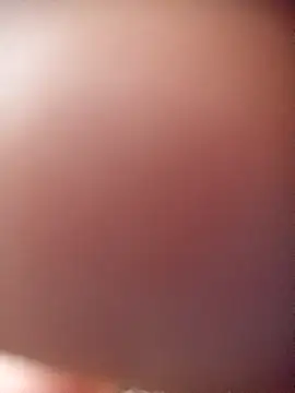 poloplayer123 online show from February 13, 2026, 1:44 pm