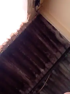 dantero online show from January 13, 2025, 4:51 pm