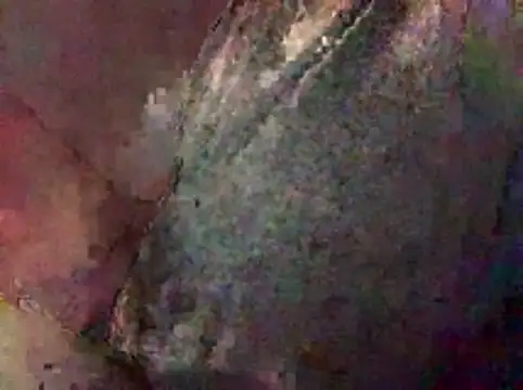 Nodsride online show from February 7, 2026, 12:57 pm