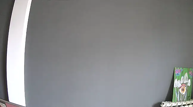 stupid babybird online show from January 30, 2025, 4:55 pm