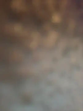 Snapshot of Atlantalitty chatting on January 21, 2025, 9:15 pm Atlantalitty online show from January 21, 2025, 9:15 pm