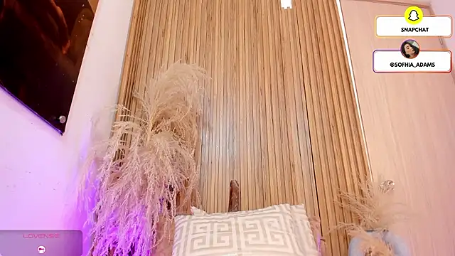 sofhiaa adaams online show from February 15, 2026, 5:12 pm