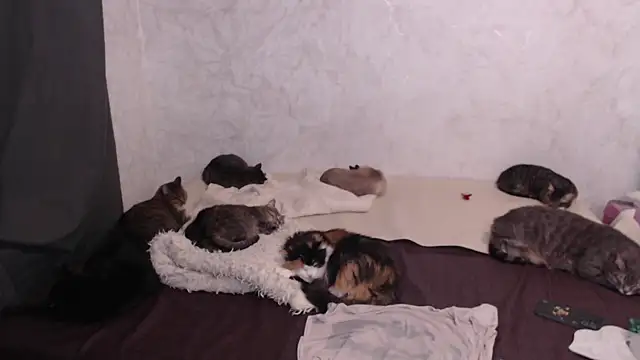 Snapshot of Olivia_Winston chatting on January 13, 2026, 4:22 pm Olivia Winston online show from January 13, 2026, 4:22 pm