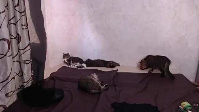 Snapshot of Olivia_Winston chatting on March 28, 2026, 1:45 pm Olivia Winston online show from March 28, 2026, 1:45 pm