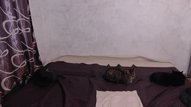 Snapshot of Olivia_Winston chatting on April 10, 2026, 2:40 am Olivia Winston online show from April 10, 2026, 2:40 am