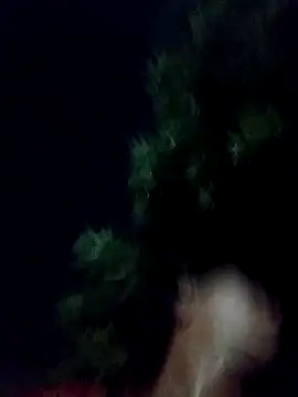 Snapshot of yoryisexi chatting on October 3, 2025, 12:14 am yoryisexi online show from October 3, 2025, 12:14 am