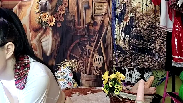 DashaHart online show from December 5, 2024, 1:11 pm