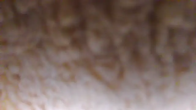 Snapshot of Burberrry_ chatting on June 22, 2026, 7:22 pm Burberrry online show from June 22, 2026, 7:22 pm