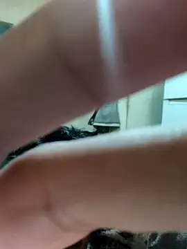 Snapshot of khema99 chatting on January 12, 2026, 10:03 pm khema99 online show from January 12, 2026, 10:03 pm