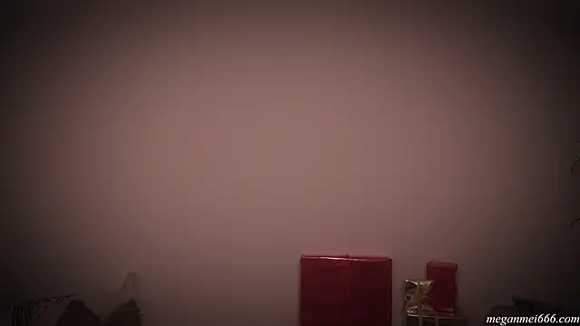 Snapshot of meganmei666 chatting on December 22, 2025, 2:44 am meganmei666 online show from December 22, 2025, 2:44 am