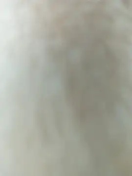 Emily Wane online show from March 21, 2026, 8:35 pm