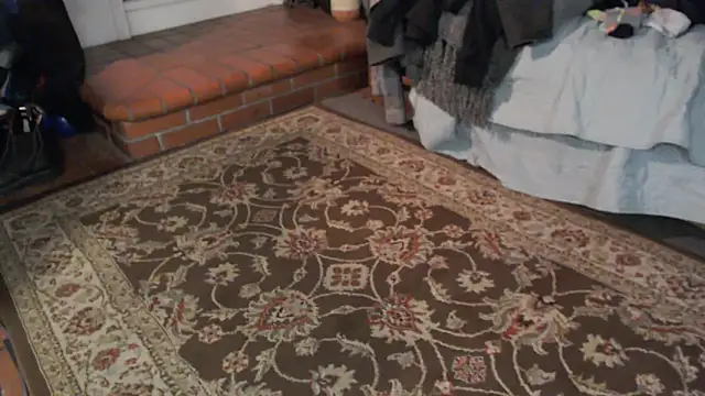 Dark Asteroid online show from March 5, 2026, 12:24 pm