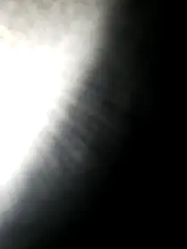 Snapshot of hotdog4you2 chatting on October 16, 2025, 9:56 pm hotdog4you2 online show from October 16, 2025, 9:56 pm