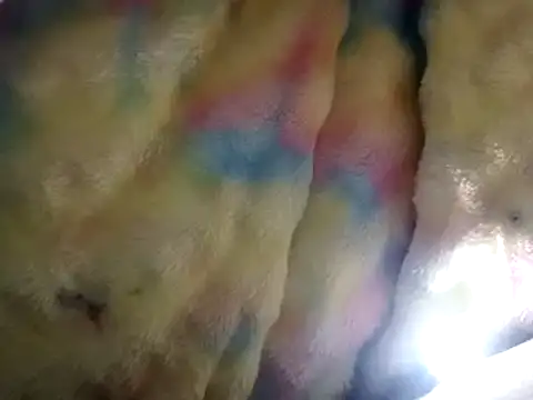 Snapshot of Moreno1813 chatting on March 15, 2025, 2:55 pm Moreno1813 online show from March 15, 2025, 2:55 pm