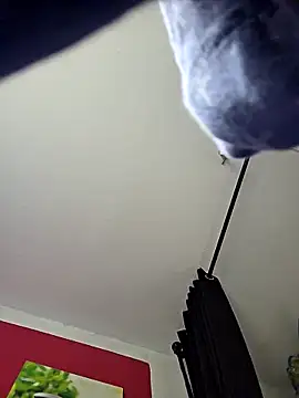 dieGeile0411 online show from October 25, 2025, 9:52 am