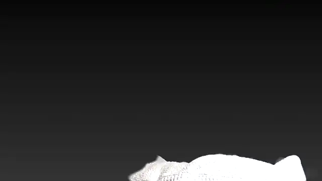 Snapshot of juanpalmox chatting on November 25, 2025, 8:31 pm juanpalmox online show from November 25, 2025, 8:31 pm