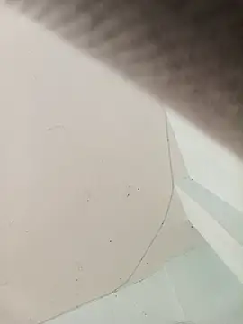 Hothotcouple online show from November 30, 2025, 7:03 pm